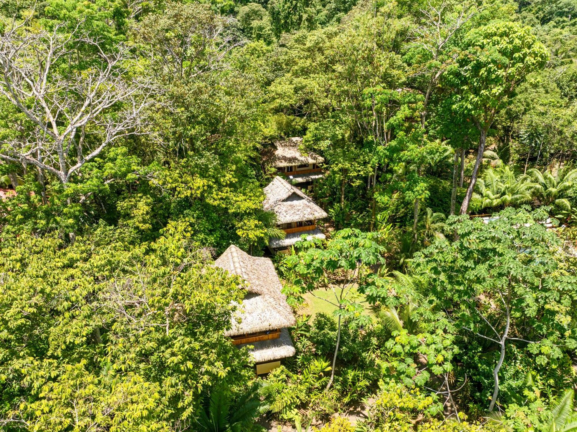 Copa De Arbol Beach & Rainforest Resort Drakes Bay المظهر الخارجي الصورة