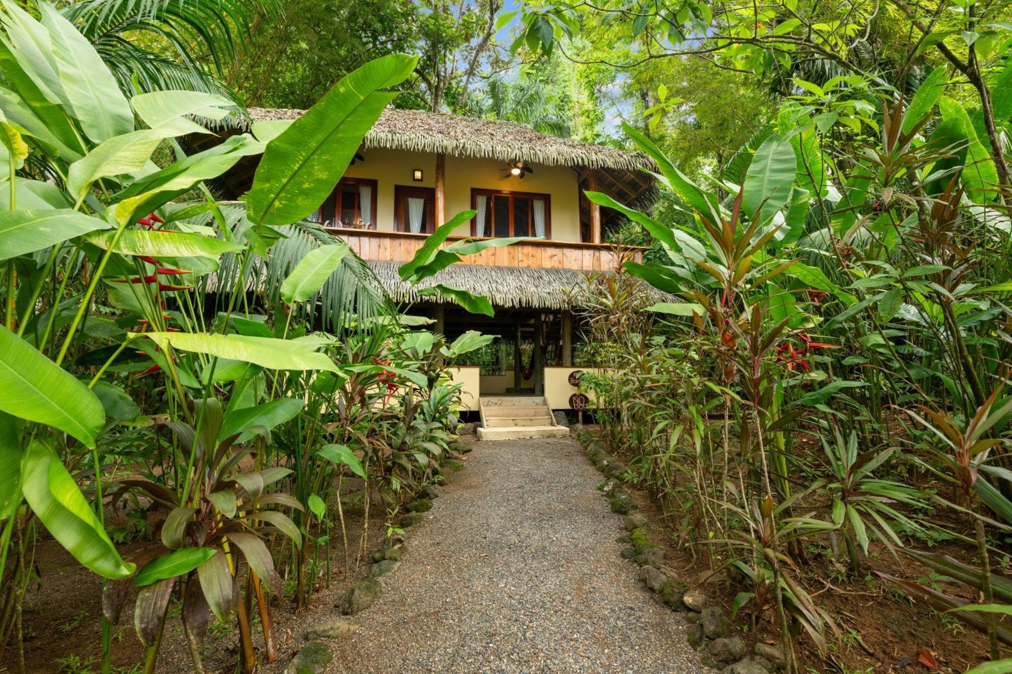 Copa De Arbol Beach & Rainforest Resort Drakes Bay الغرفة الصورة