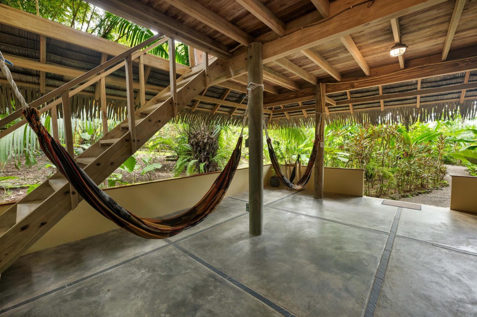 Copa De Arbol Beach & Rainforest Resort Drakes Bay المظهر الخارجي الصورة