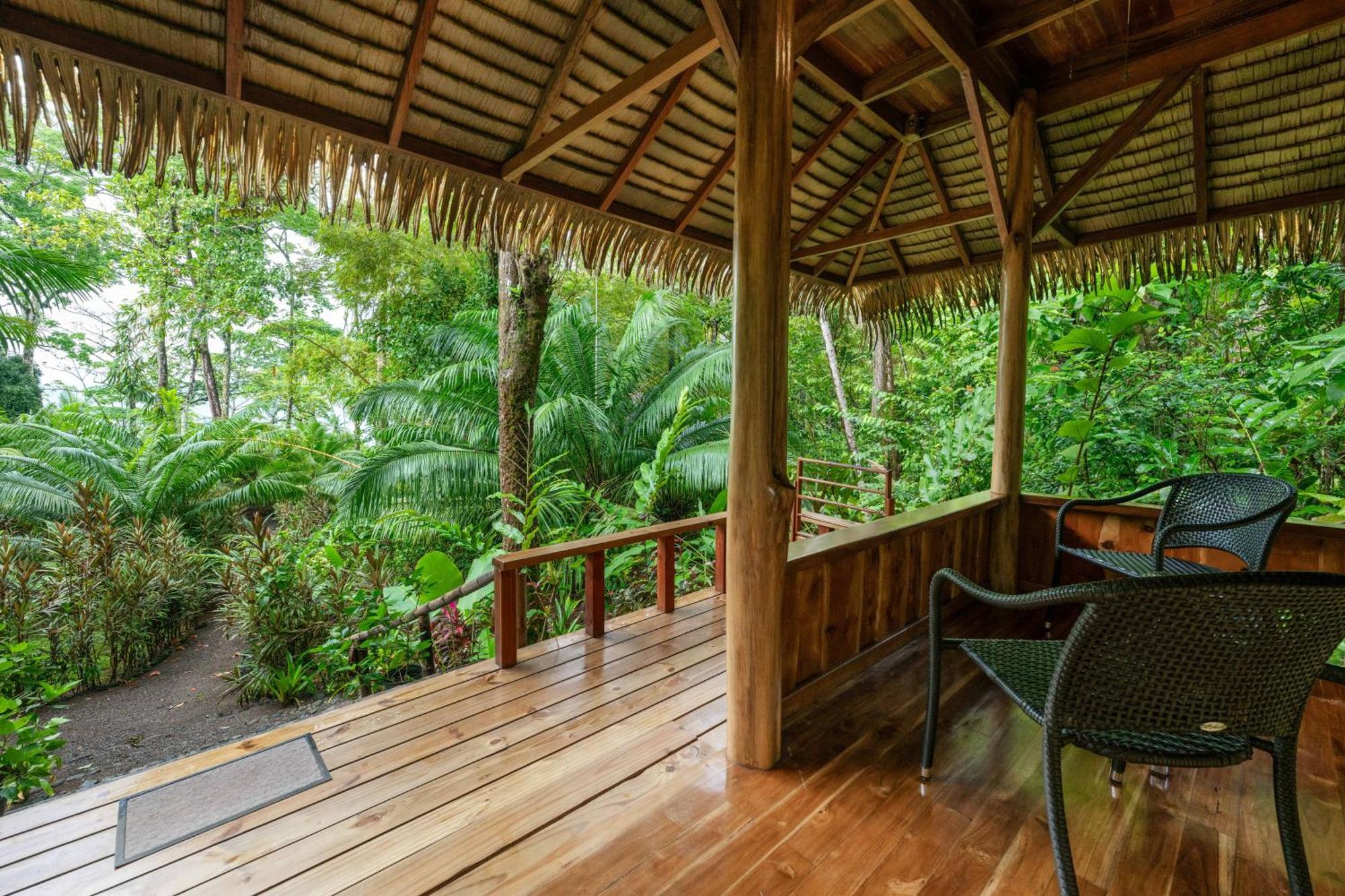 Copa De Arbol Beach & Rainforest Resort Drakes Bay المظهر الخارجي الصورة