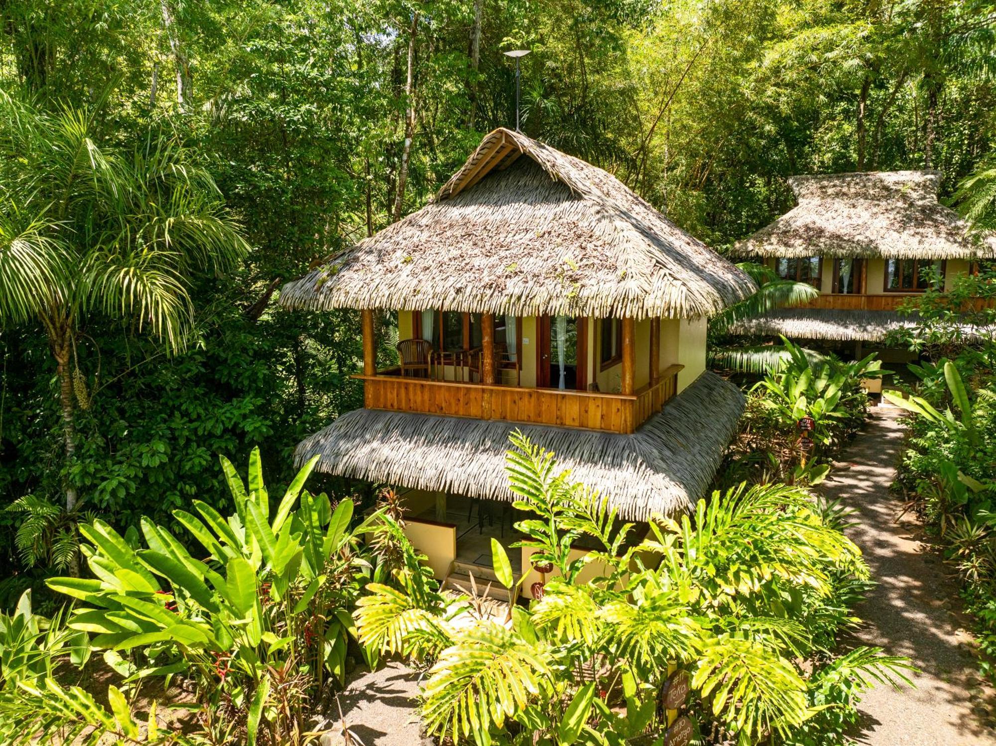 Copa De Arbol Beach & Rainforest Resort Drakes Bay المظهر الخارجي الصورة