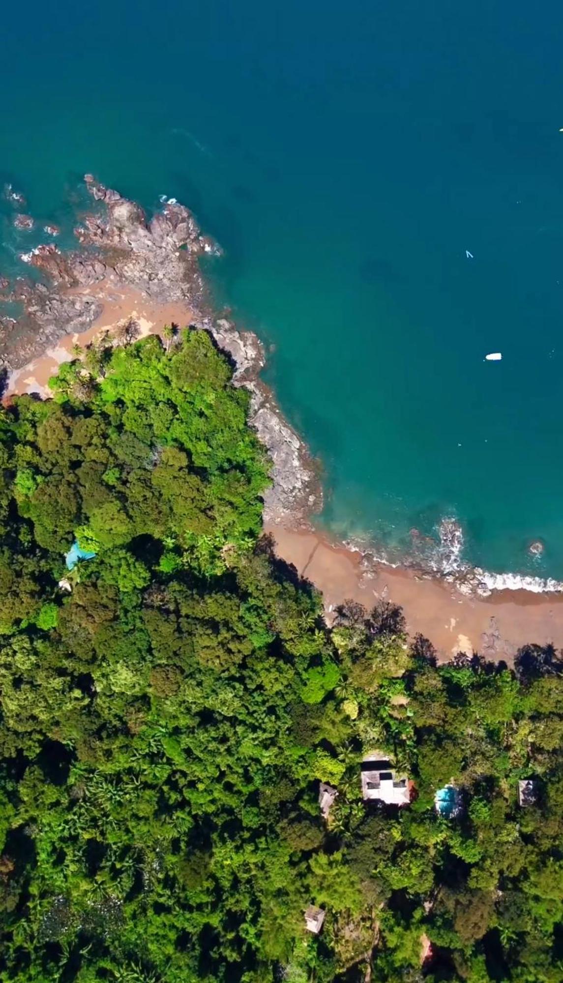 Copa De Arbol Beach & Rainforest Resort Drakes Bay المظهر الخارجي الصورة