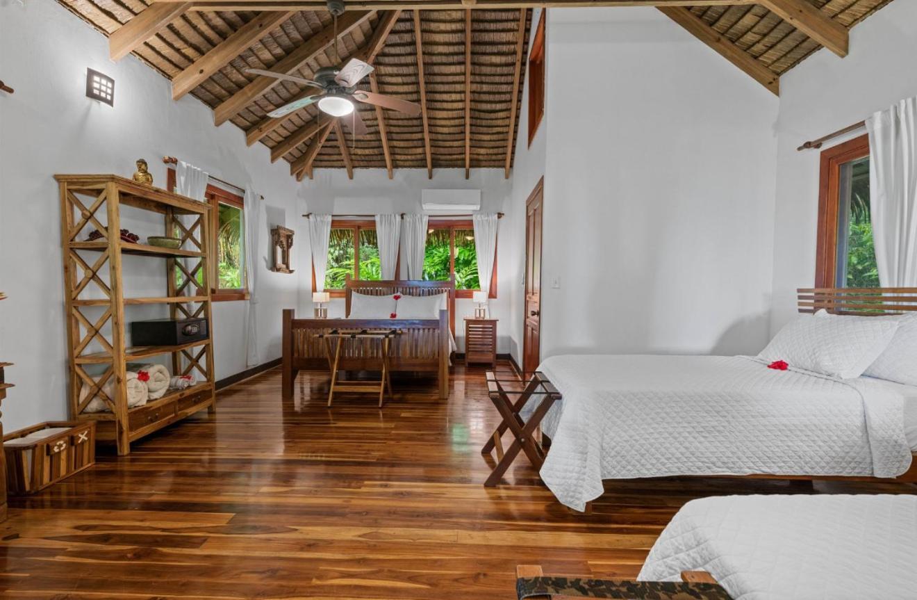 Copa De Arbol Beach & Rainforest Resort Drakes Bay المظهر الخارجي الصورة