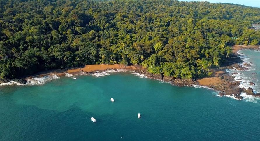Copa De Arbol Beach & Rainforest Resort Drakes Bay المظهر الخارجي الصورة