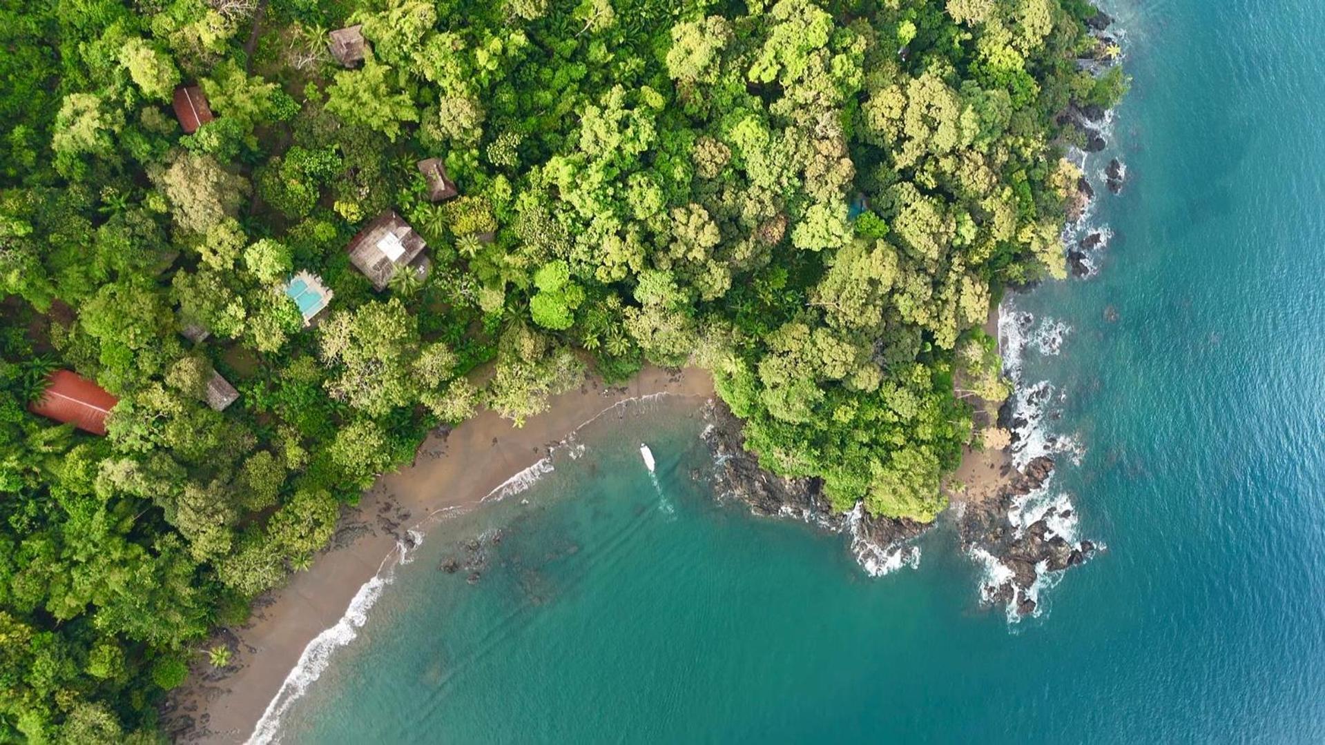Copa De Arbol Beach & Rainforest Resort Drakes Bay المظهر الخارجي الصورة